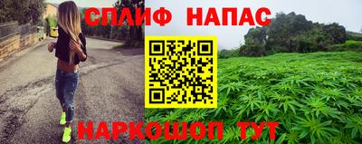 прущие грибы Дубна