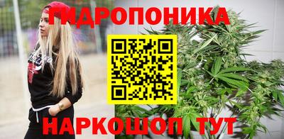 прущие грибы Донецк