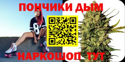 прущие грибы Донецк