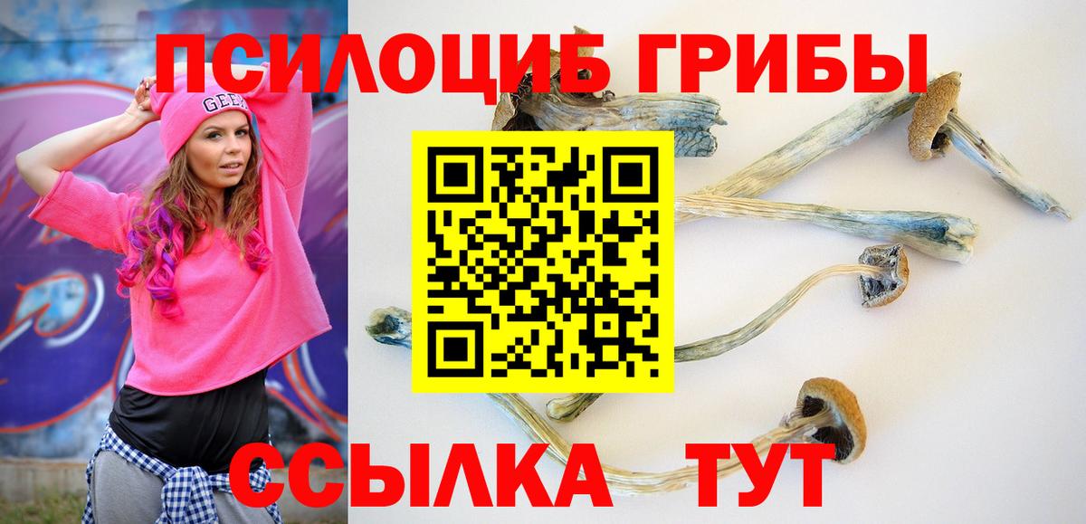 Галлюциногенные грибы мицелий  Вход с VPN  Псилоцибиновые грибы Psilocybine cubensis  Ликино-Дулёво 